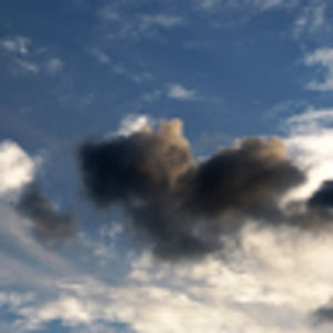 Meet your Posher, Zoe